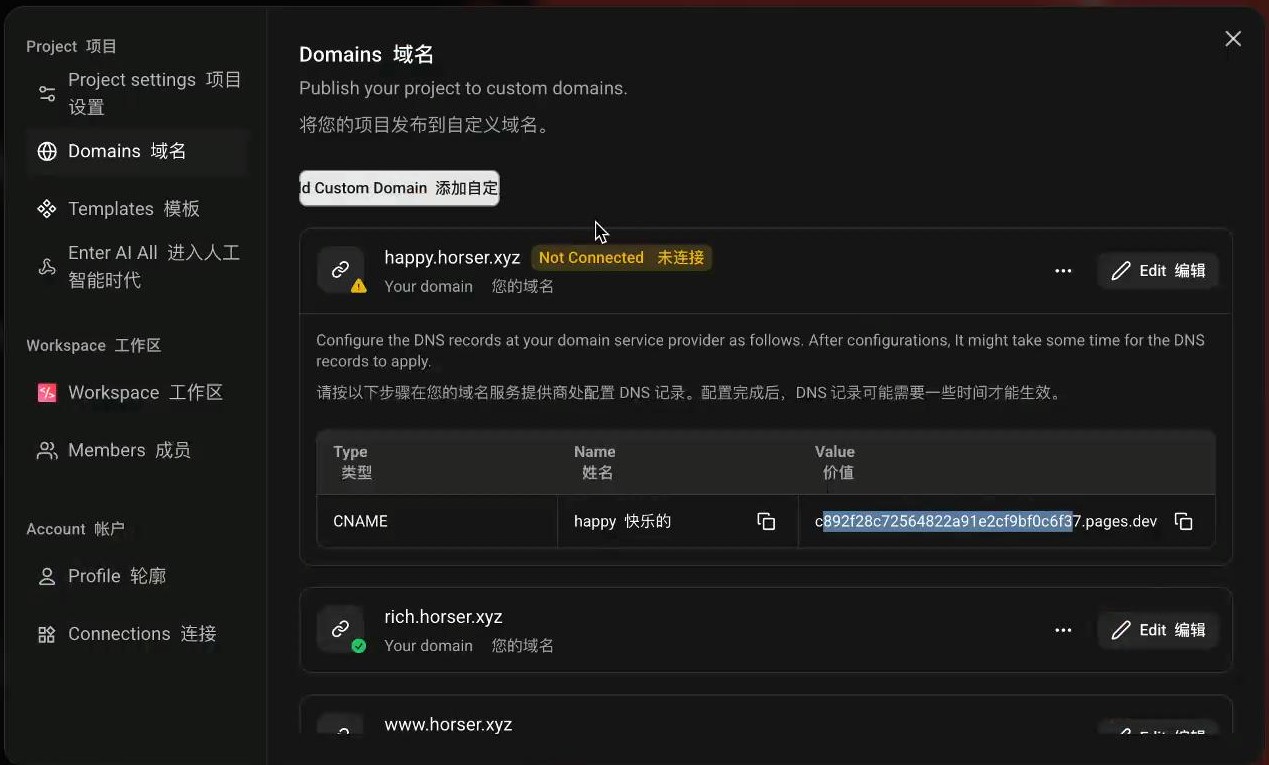域名设置与DNS配置界面